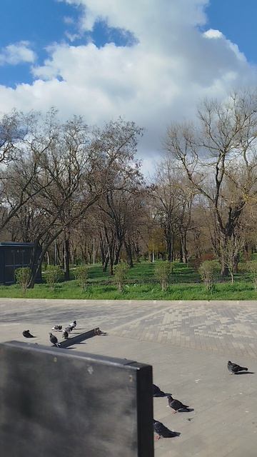 приморский парк Таганрог