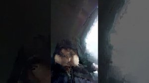 палю своё лицо