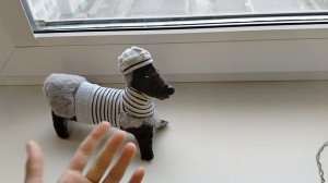 Костюмчик для псошки😍