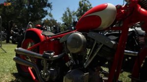 Коллекция Shovelhead Choppers | 73 потрясающих мотоцикла, представленных в деталях