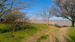 Вид цветущего Ейска!