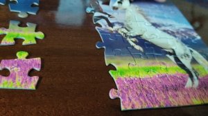 Поможем детям сиротам вместе.