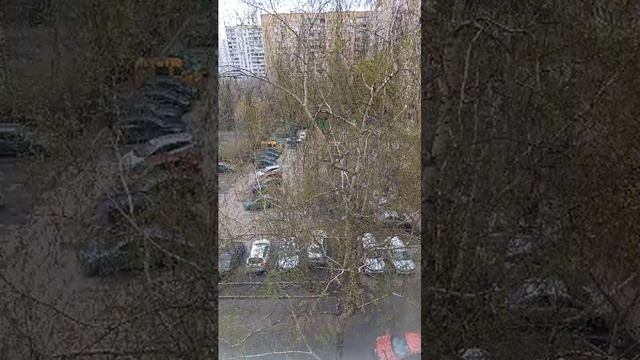 Московский двор