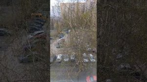 Московский двор