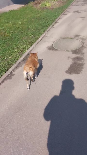 Джесси_хочет_ ЖИТЬ!