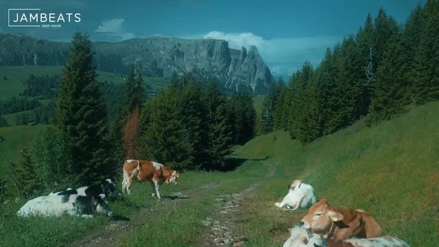 Umar Keyn - Forever With You