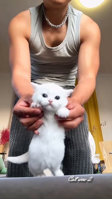 С этой милашкой все становится лучше 🐾💛