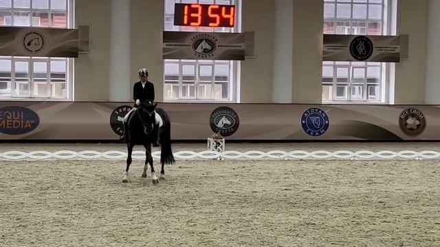 Сильвест 6лет 76,4%