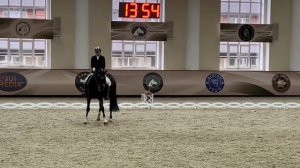Сильвест 6лет 76,4%