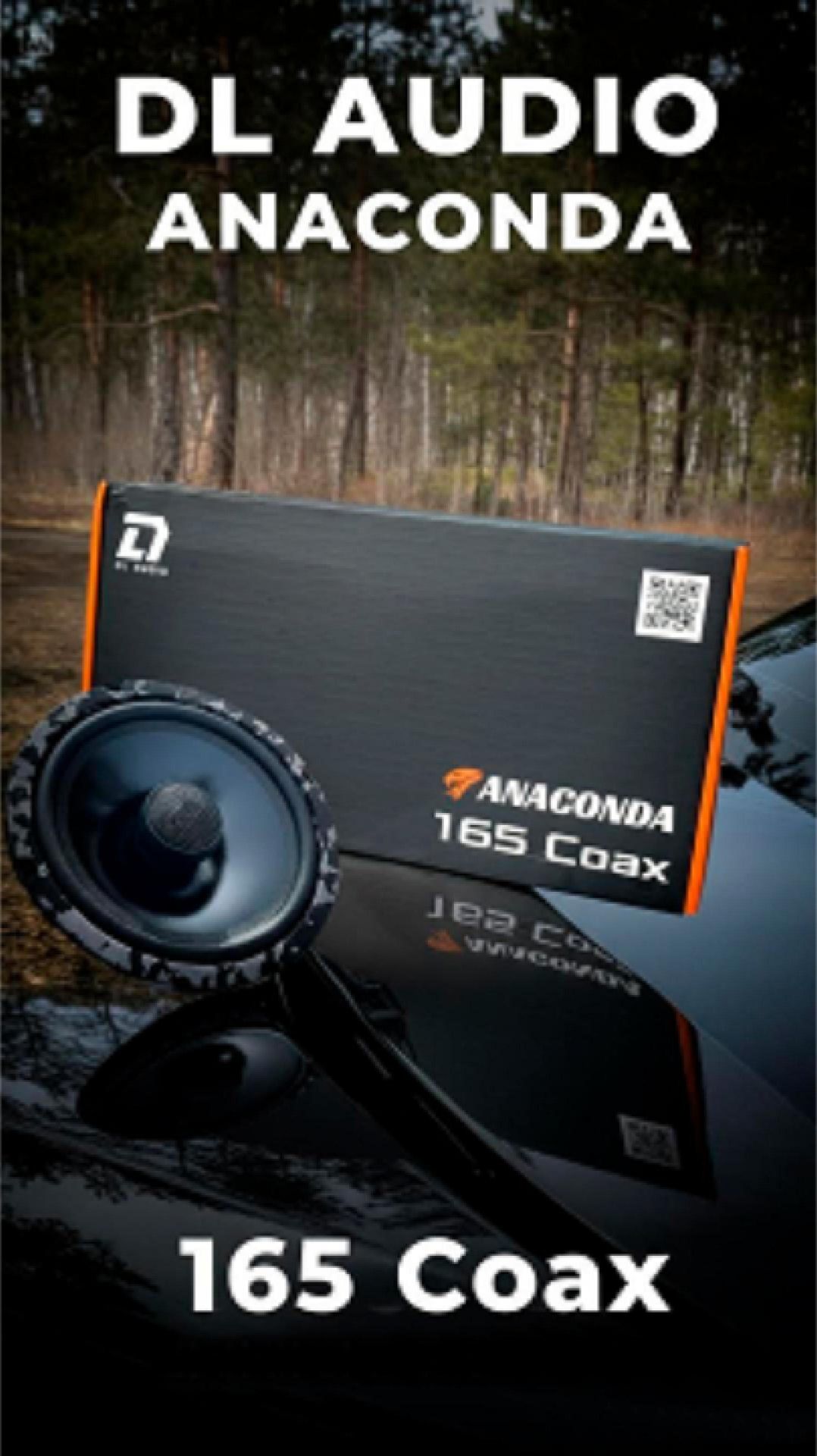 DL Audio Anaconda 165 Coax в Toyota Carina