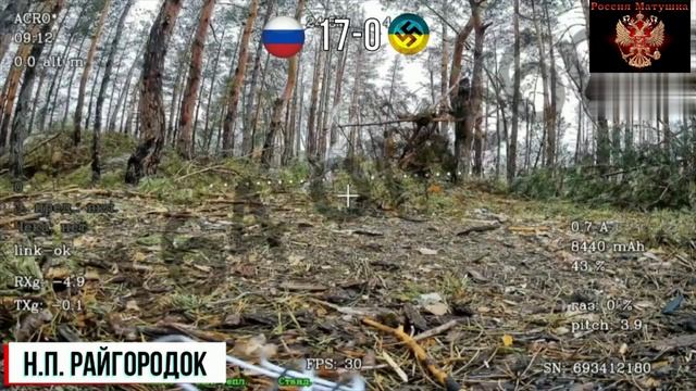 🔴Минус 28 🐷🔴