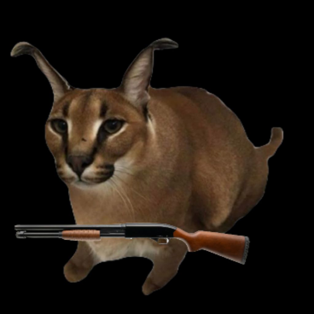 трансляция по чг