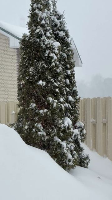 Снегопад в Подмосковье