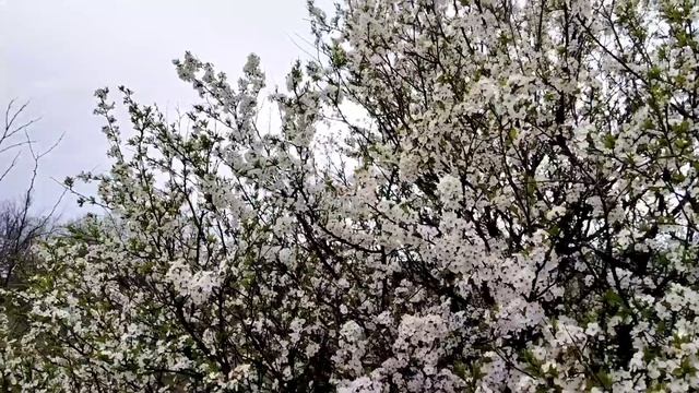 Дождливый трек: люблю дождь