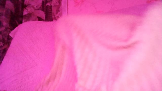 я запуталась Ви адиялі и пукнула видео засняла сестра наверно это мое последнее видео 😭😭(Рофл)