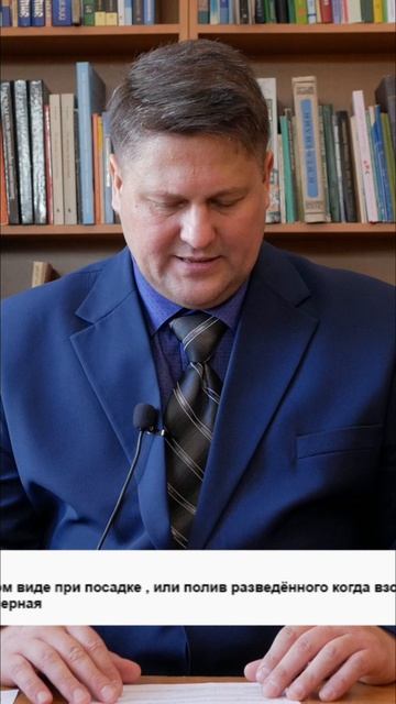 Картошка. Сульфат аммония, гниение при хранении