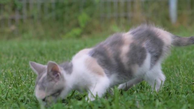 взлом телефона