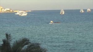 Штиль. Сергей Чекалин. Calm. Sergei Chekalin.