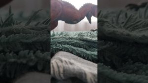 МИР ДИНОЗАВРОВ В НАШИ ДНИ 🦖🦕😀!!!