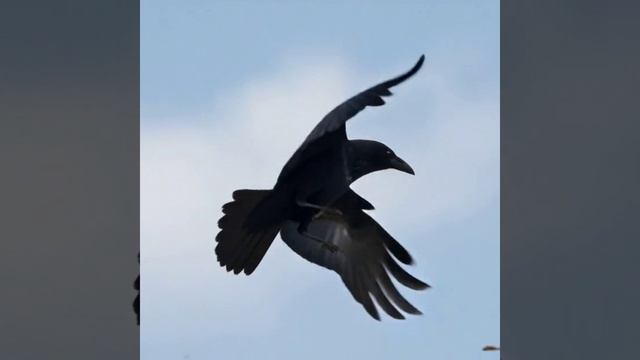 Истина внизу