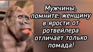😜 Анекдот из Сыктывкара