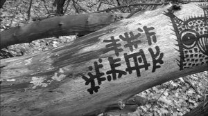 Искусство из леса