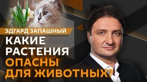 Эдгард Запашный и Нина Ватт. Опасные растения, война обезьян, миграция лягушек, бегемоты Эскобара