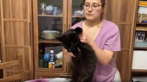 Котята питомника кошек  МАКСИМУМ ДУШИ