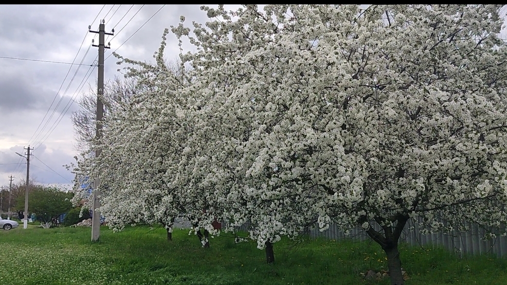 С Красной горкой всех.
