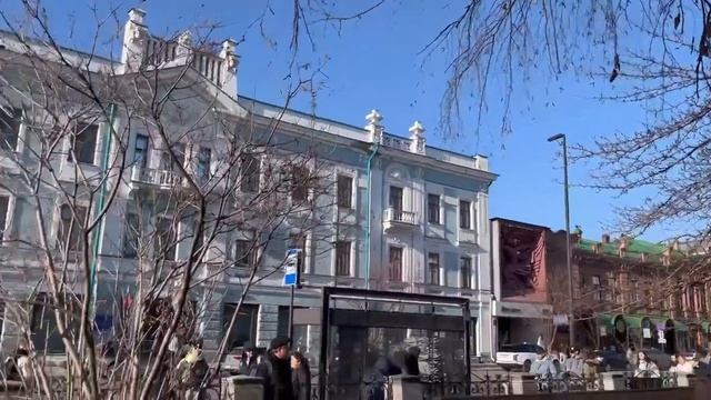 Мимозы.Апрель.Красноярск