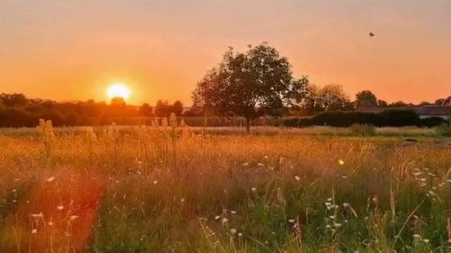 Сегодня в рассвет жизни смотрю,  (1)