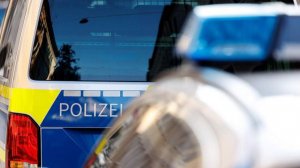 Стало известно о возможном привлечении полиции ФРГ для поимки украинцев в Молдавии