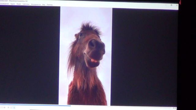 06. Видеоролик 