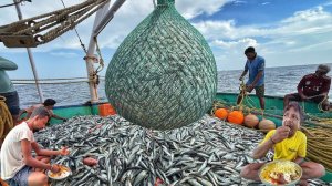 Потрясающе 🤩 3 дня в море 🌊 Тонны рыбы, пойманной во время приключения в открытом море!
