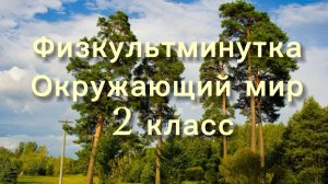 Физкультминутка окружающий мир 2 класс