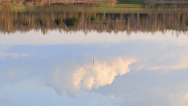 Знаменитое Святое озеро, находящееся рядом с селами Борки и Нармушадь Рязанской области.