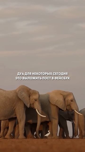 Дуа! #дуа #намаз #ислам #мусульмане #напоминание