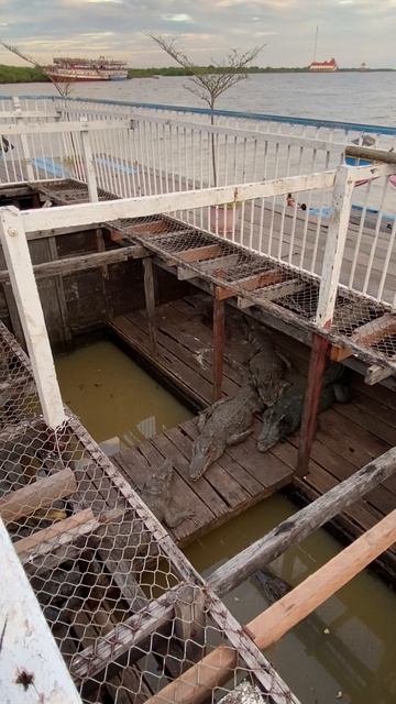 Камбоджа, озеро Тонлесап 58