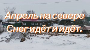 Выходной день на севере) снег идёт) что купила?