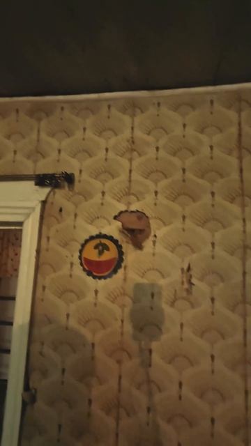 ГОД НАЗАД 🙌❤️