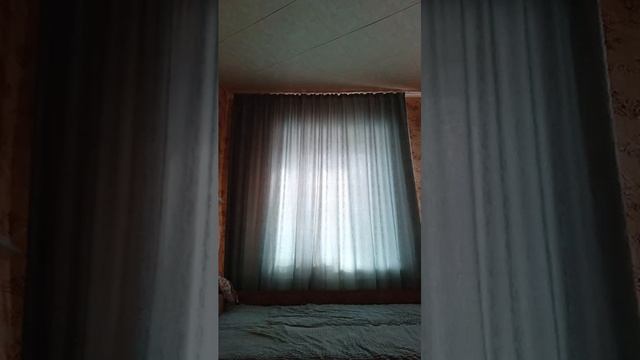 строим холобуду