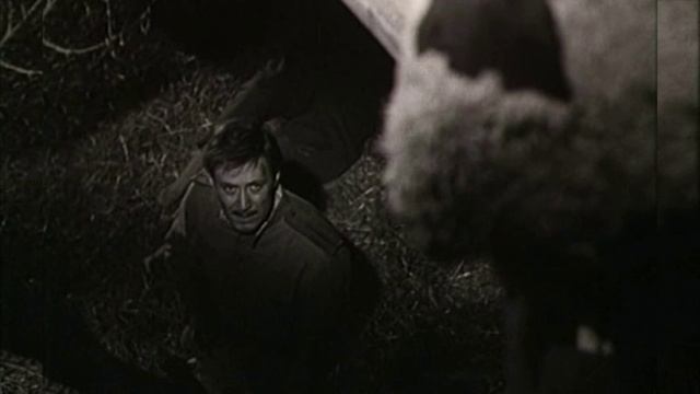 А ВЫ ВИДЕЛИ РОЖУ ЭТОГО АТАМАНА?..