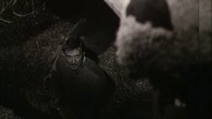 А ВЫ ВИДЕЛИ РОЖУ ЭТОГО АТАМАНА?..