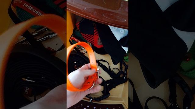 Вся амуниция Пончика