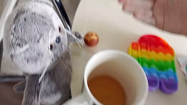 День басика