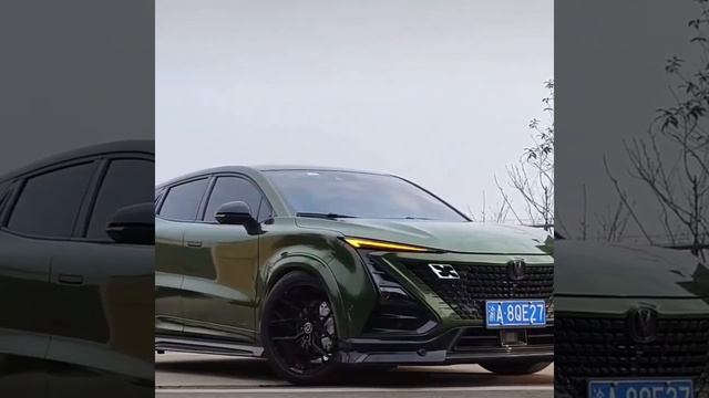 -3950769776221367462