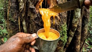 Вы несколько дней НЕ ПИЛИ ВОДУ, что бы вы выбрали для ПИТЬЯ? Сытный и Расслабляющий ИИ АСМР