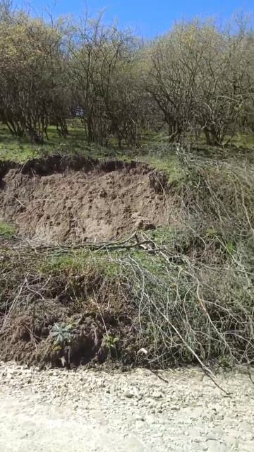 Ополозни в горах Дагестана, дождь ливень вот и ополозни в горах в этом году