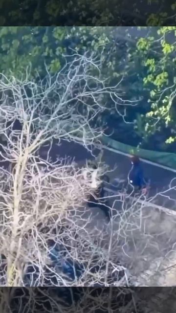 🇺🇦Украина с утра обсуждает, как двое полицейских бросились наутек от террориста, который вчера…🔽