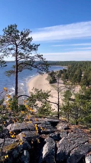 Остров Койонсаари в Ладожском озере